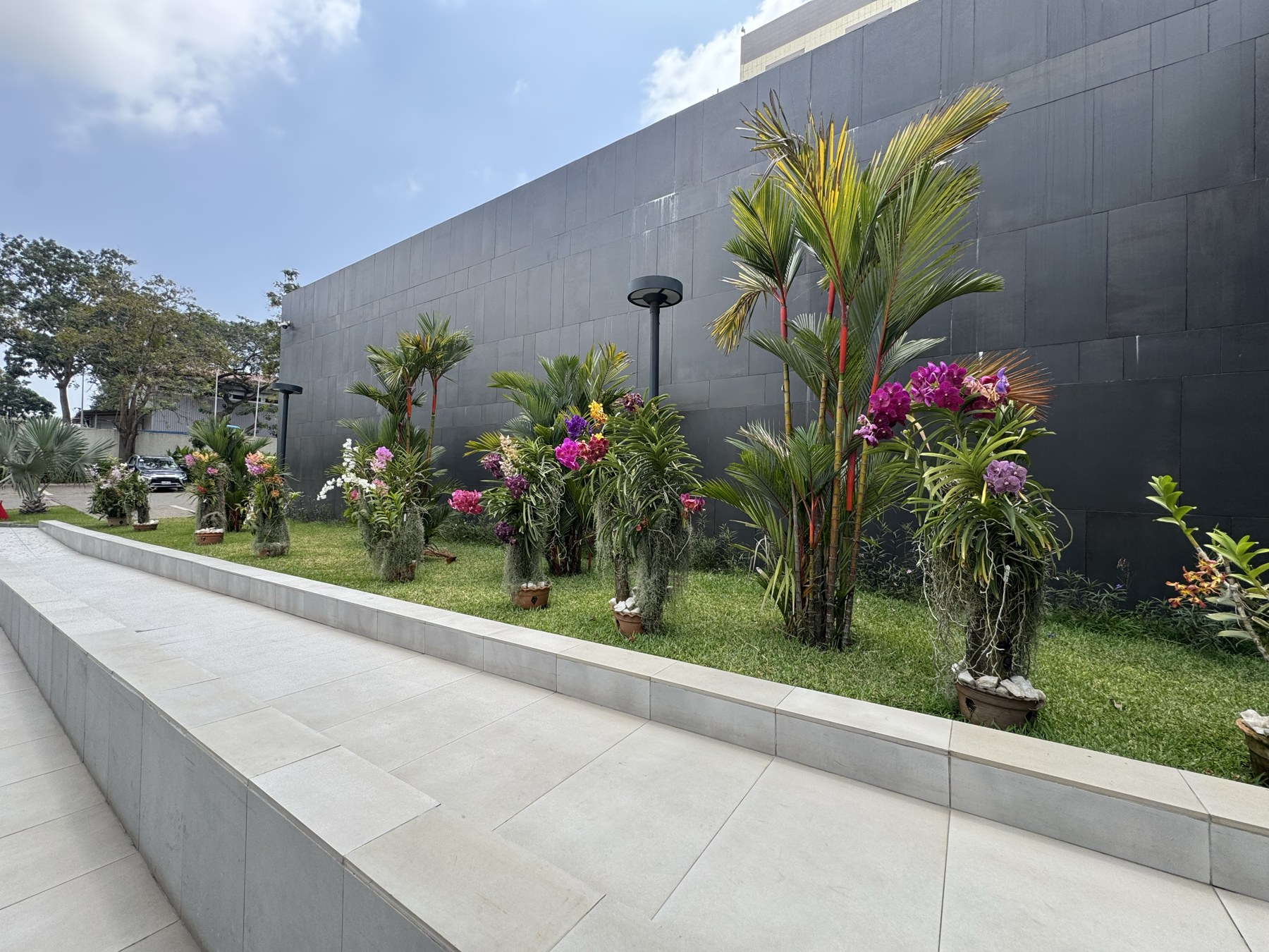 Flowering orchids in the hotel garden in Ghana