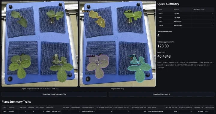 Soybean tray analysis showing segmented overlays, leaf counts, canopy area, and summary traits.