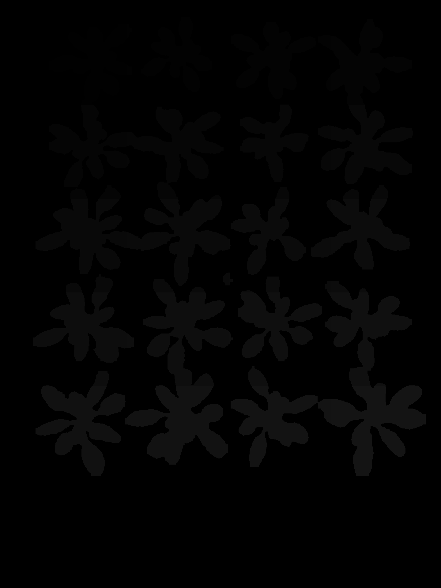 Per-plant label map for the Arabidopsis tray