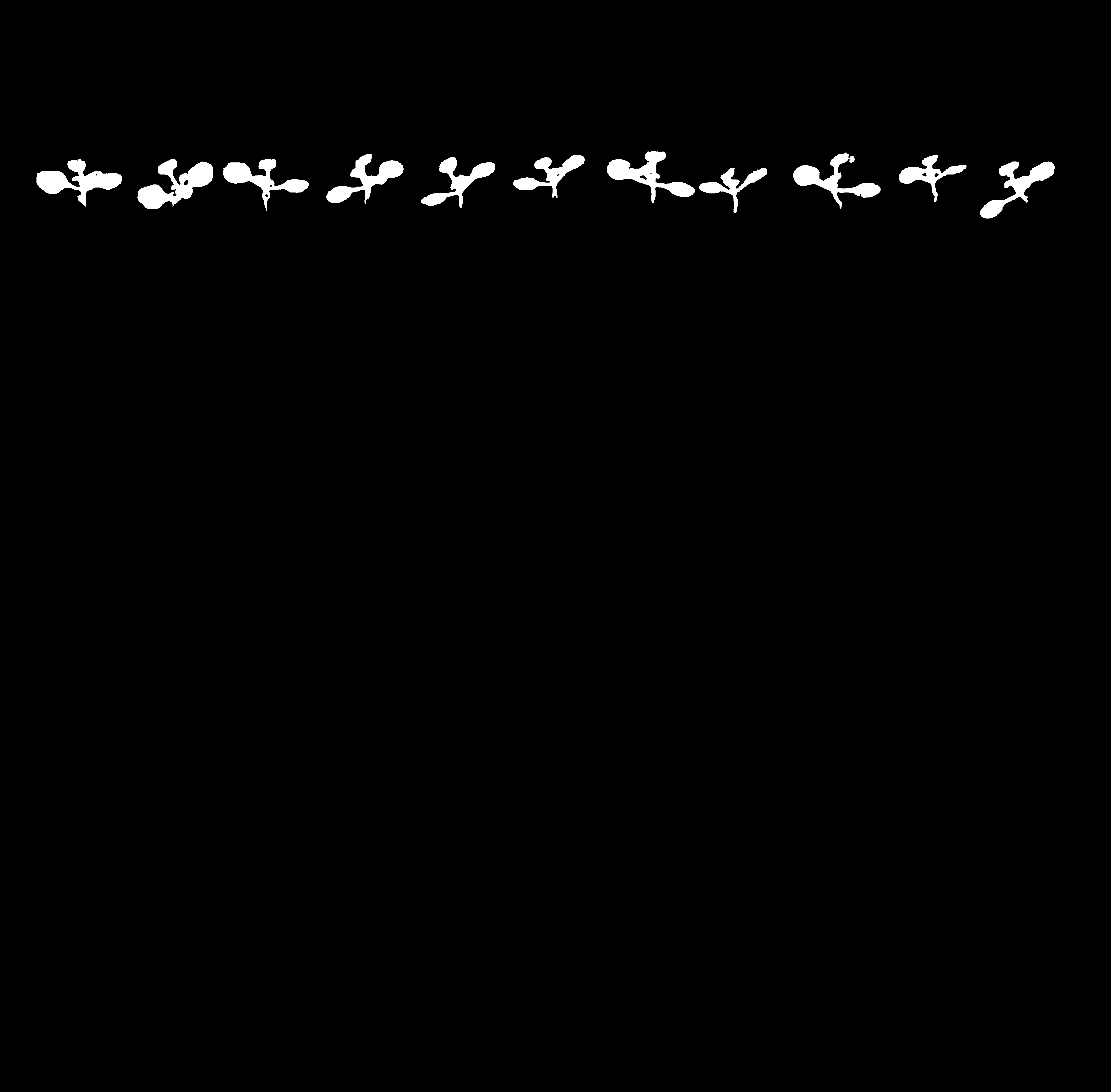 Shoot Binary Mask